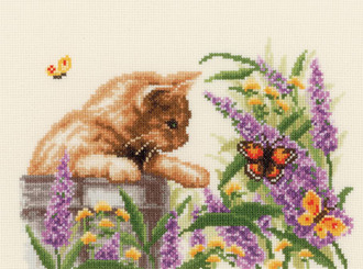 Котенок и бабочки
