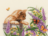 Котенок и бабочки