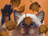 Котик в листьях (БГ-182)