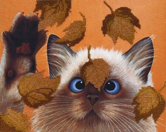 Котик в листьях (БГ-182)