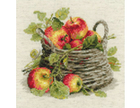 Спелые яблоки (1450)