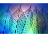 Цветные листья DS052 (алмазная мозаика) mr
