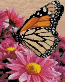 Бабочка-данаида (52097)