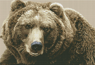 Бурый медведь (20317)