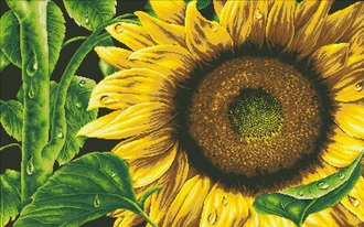 Цветок солнца DS301 (алмазная мозаика) mc