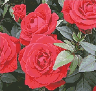 Розы DS303 (алмазная мозаика) mc avmn