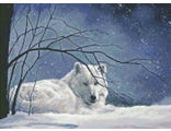 Белый волк (98667)