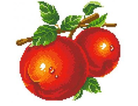 Красные яблоки АЖ-1071 (алмазная вышивка) mc