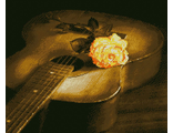 Гитара и роза АЖ-1051 (алмазная вышивка-мозаика) mc