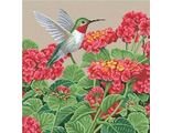 Великолепие колибри (98457)