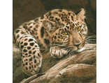 Леопард М-304 (алмазная вышивка) mgm-mt