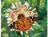 Бабочка на цветке АЖ-1205 (алмазная вышивка) mgm-mjk
