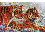 Тигры 130004 (Dome)