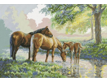 Лошади на водопое 50091 (Timkee)
