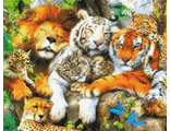 Мир больших кошек 900522 (алмазная мозаика Anya) mgm-mt