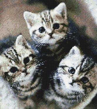 Три котенка VH-909411  (алмазная вышивка-мозаика Anya) mgm-mk avmn