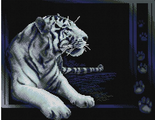 Белый тигр D010 (алмазная мозаика Anya) mgm-mt